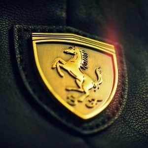 Meet your Posher, Jesse